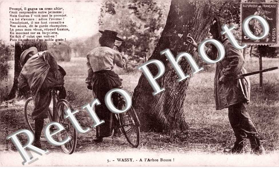l'arbre Bossu