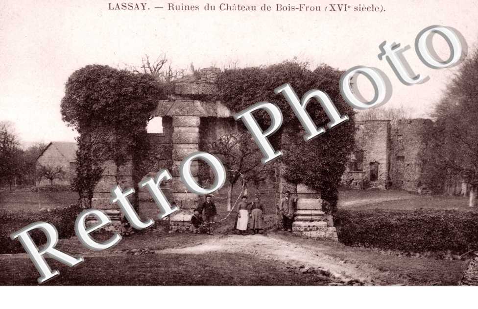 Ruines du Chateau de Bois Frou XVI s