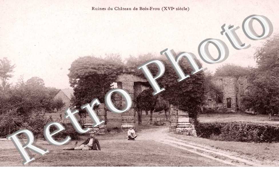 Ruines du Chateau de Bois Frou XVI s