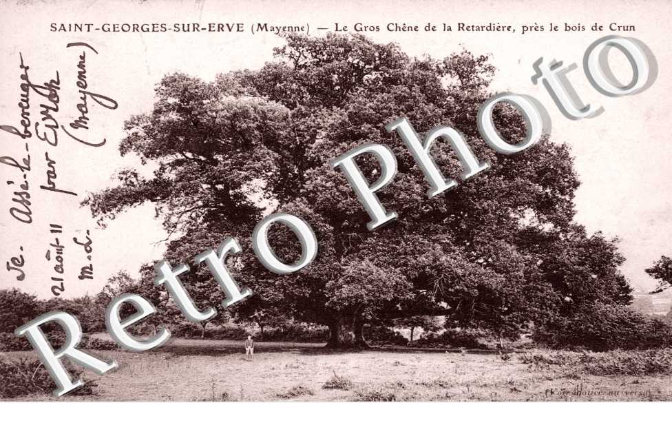Le Gros Chene de la Retardiere