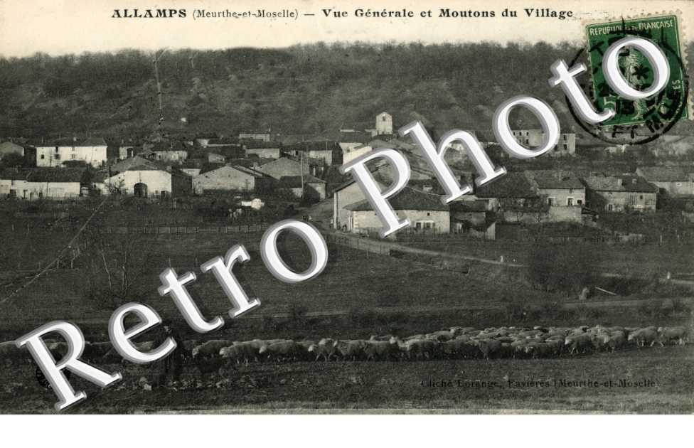 Vue generale et moutons du Village