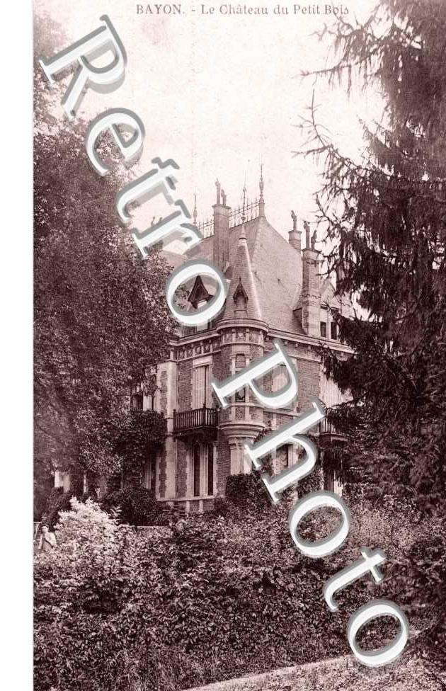 Chateau du Petit Bois