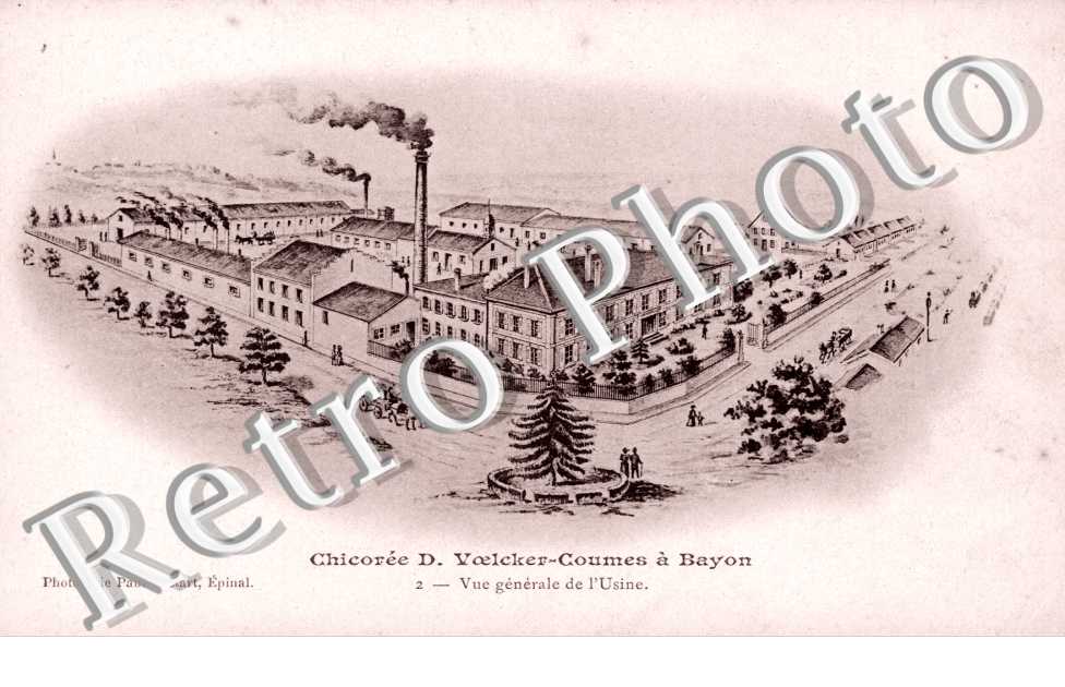 Chicoree D. Voelcker - Coumes - vue generale de l'usine