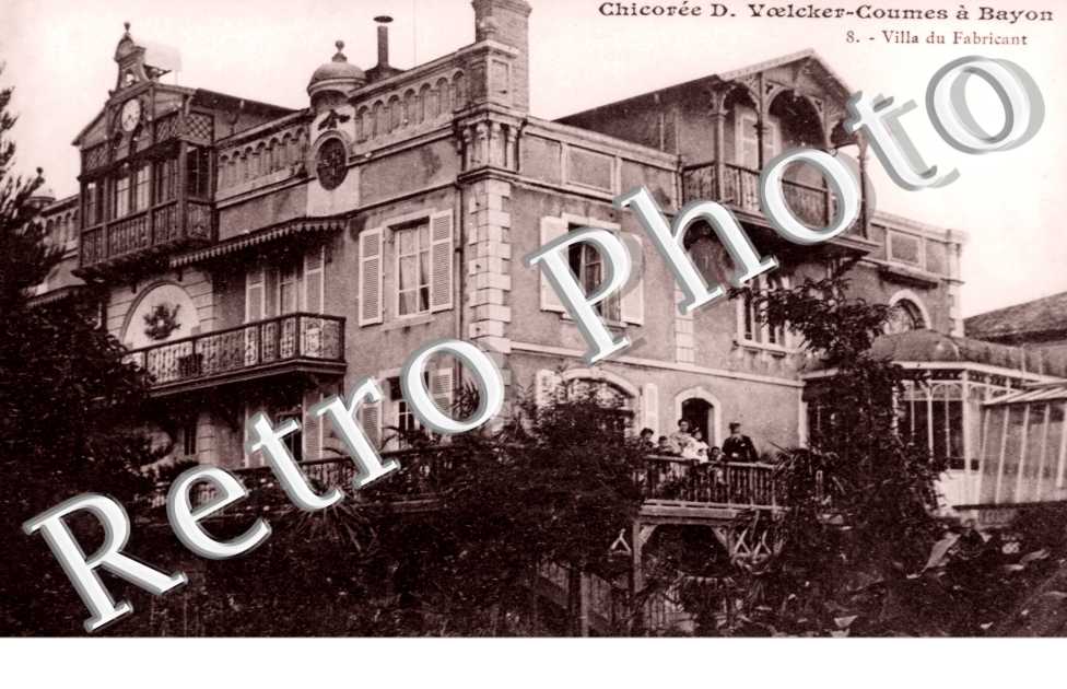 Chicoree D Voelcker-Coumes  Villa du fabricant