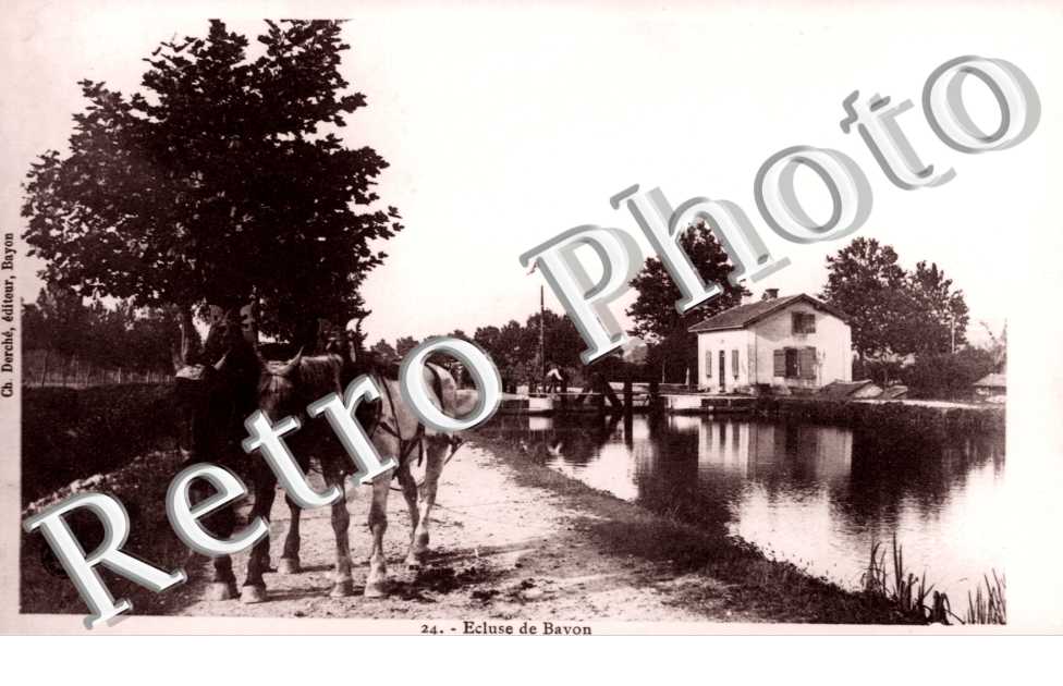 ecluse