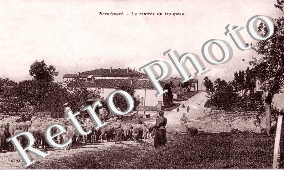 la rentree du troupeau