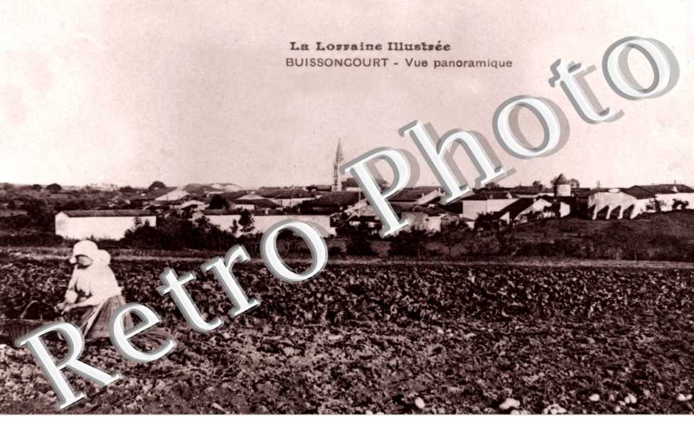 vue panoramique