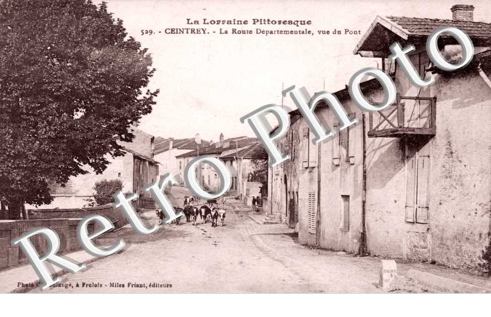 La route departementale