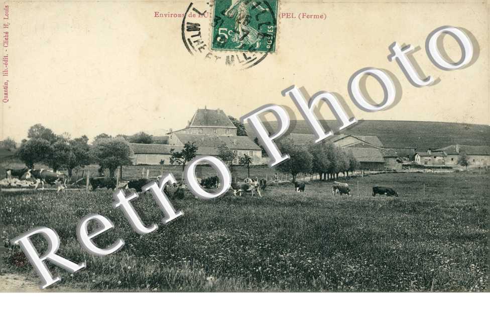 Ferme