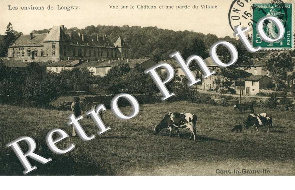 Vue sur le Chateau et une partie du Village