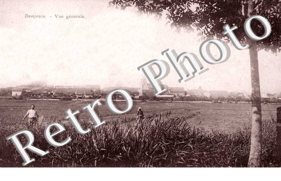 Vue generale
