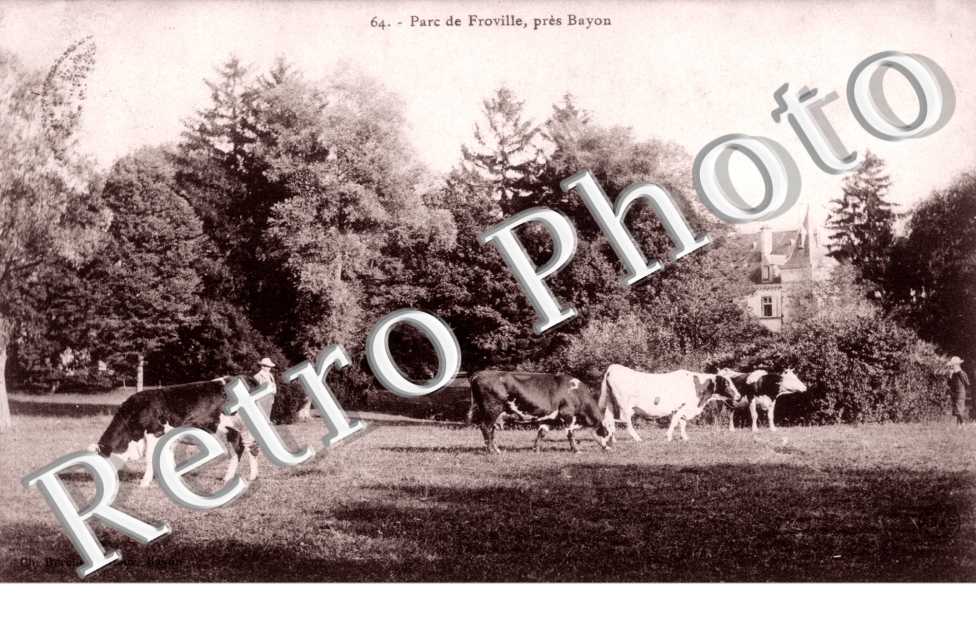 parc de Froville