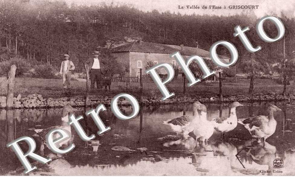 La Vallee de l'Esse