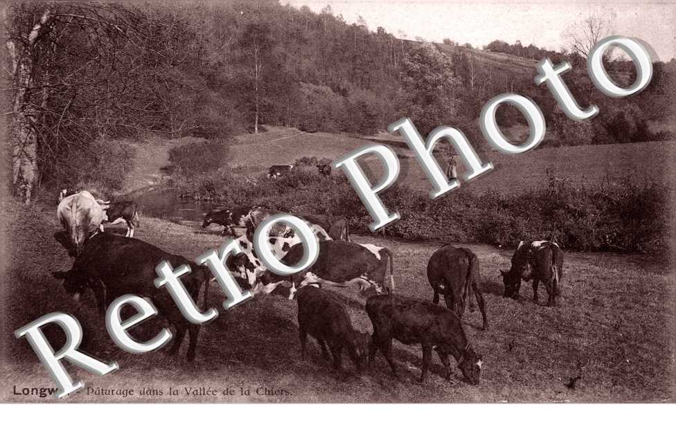 Paturage dans la vallee de la Chiers