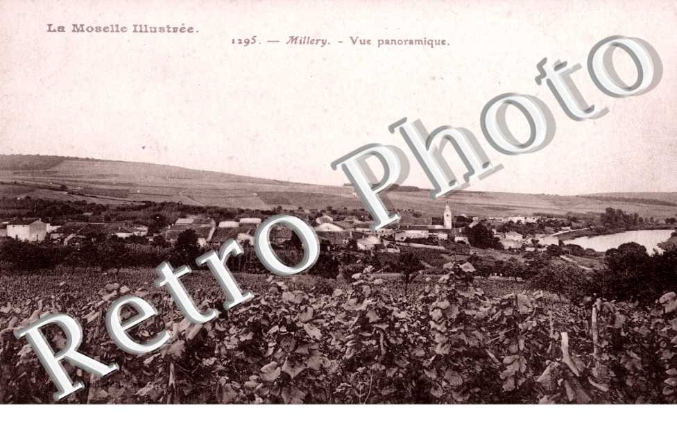 Vue panoramique
