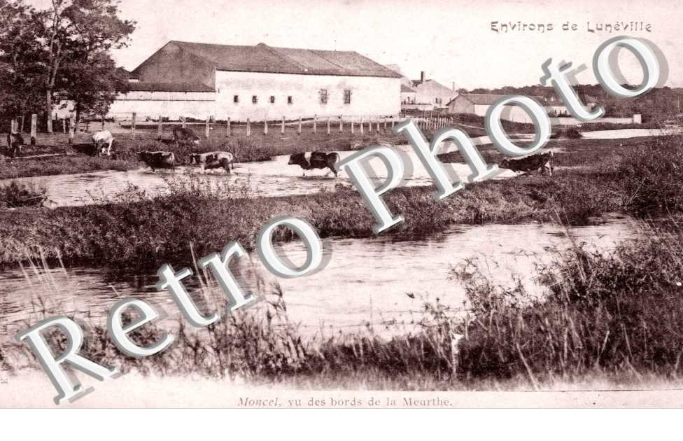 Vu des bords de la Meurthe
