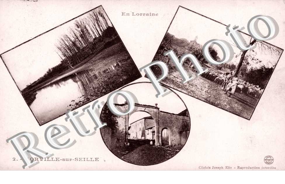 La Seille - La porte d'entrée - troupeau de Moutons