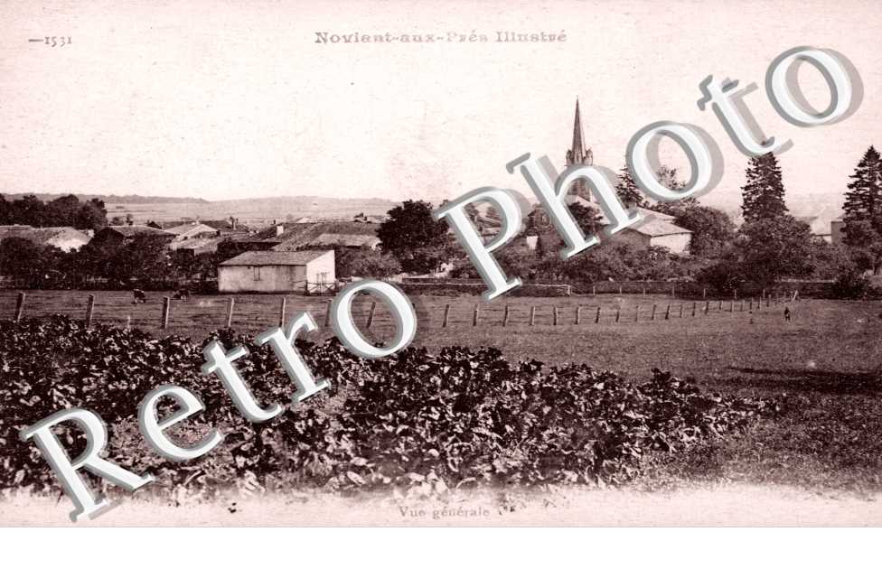 vue generale
