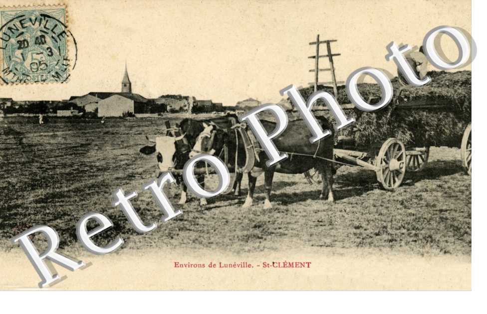 ( scene agricole )
