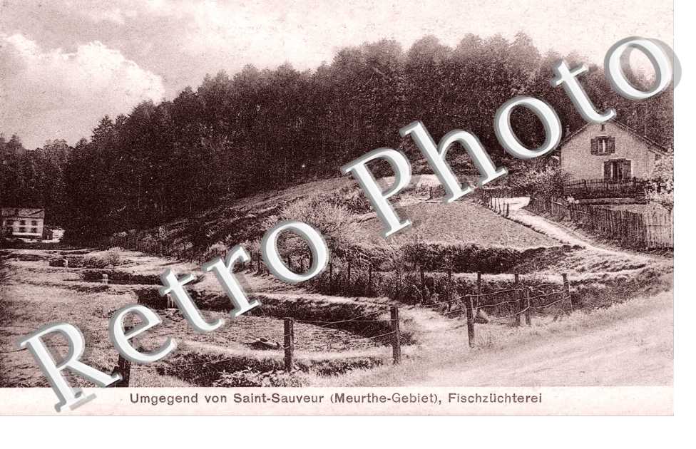 Umgegend Saint Sauveur - Fischzuchterei