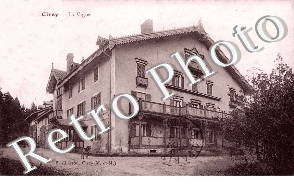 La Vigne