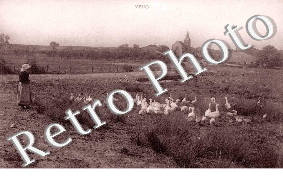 (Vue generale)
