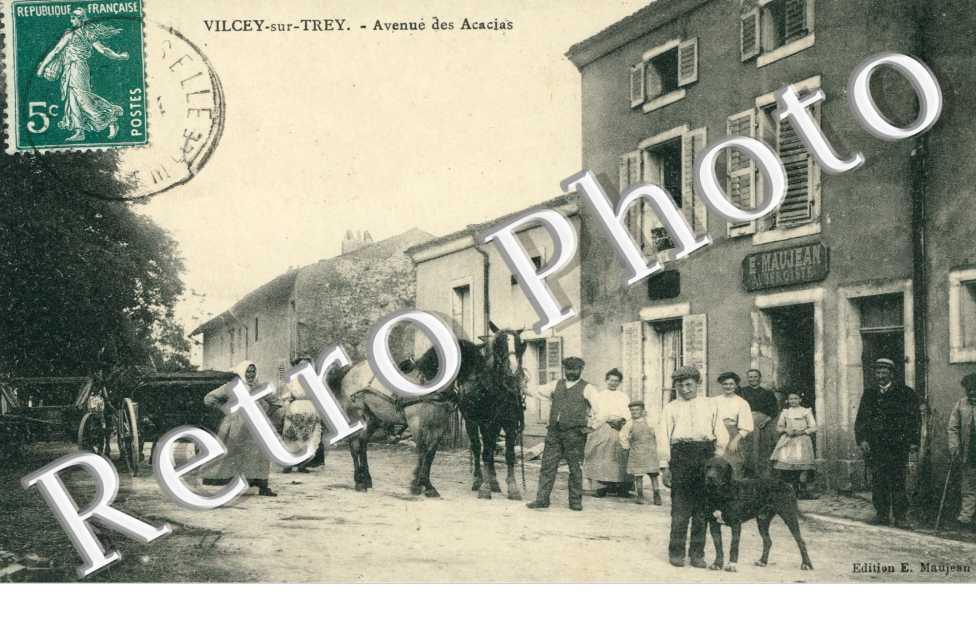 Avenue des acacias