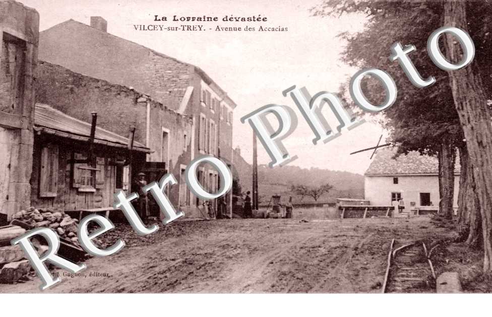 Avenue des accacias