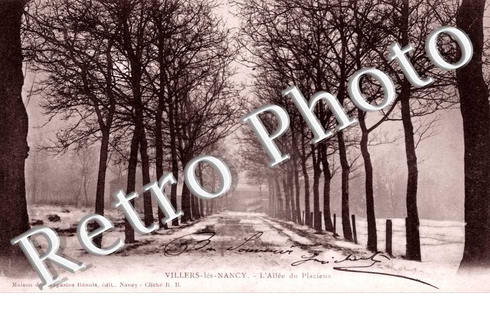 L'allee du Placieux