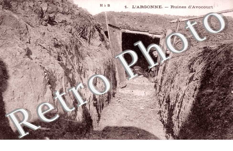 L'argonne - ruines d'Avocourt