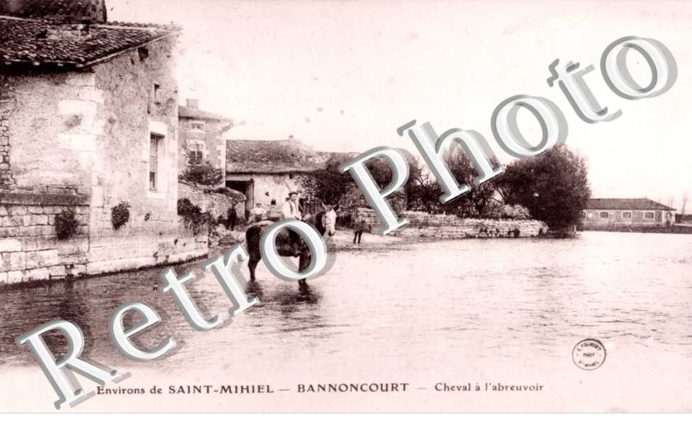 Cheval a l'abreuvoir