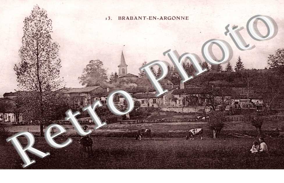 (vue generale)