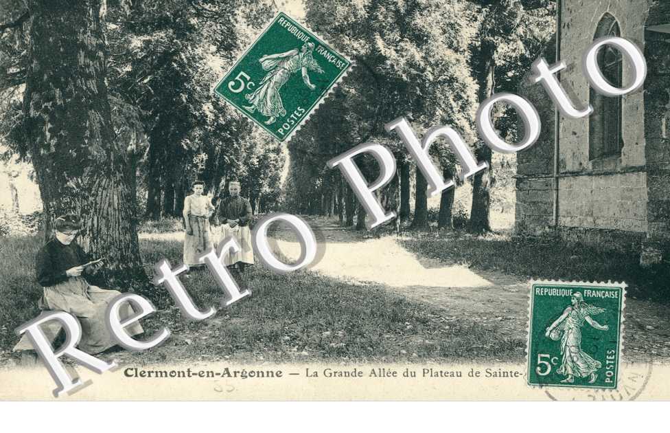 la grande Allee du plateau de Sainte Anne