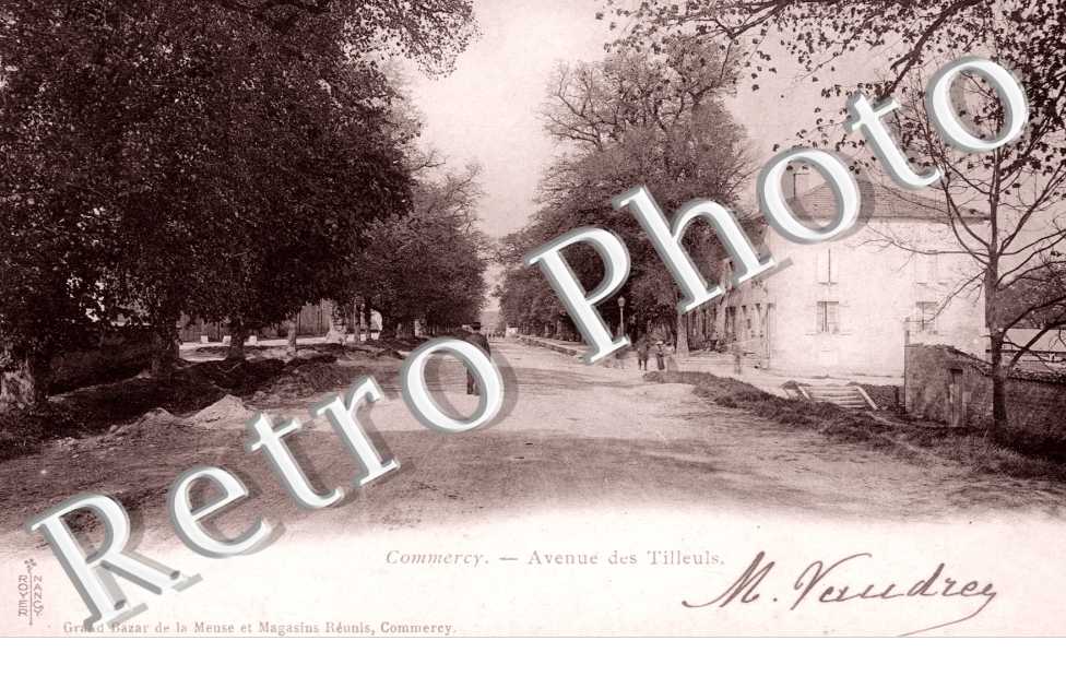 l'avenue des tilleuls