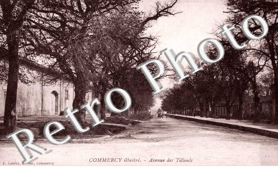 Avenue des Tilleuls