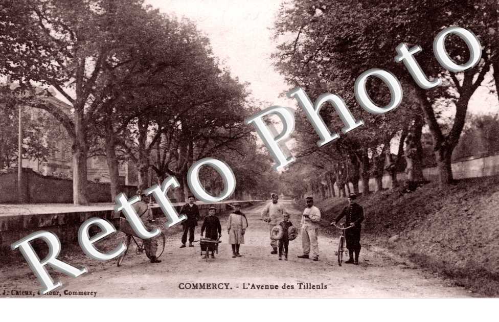l'Avenue des Tilleuls
