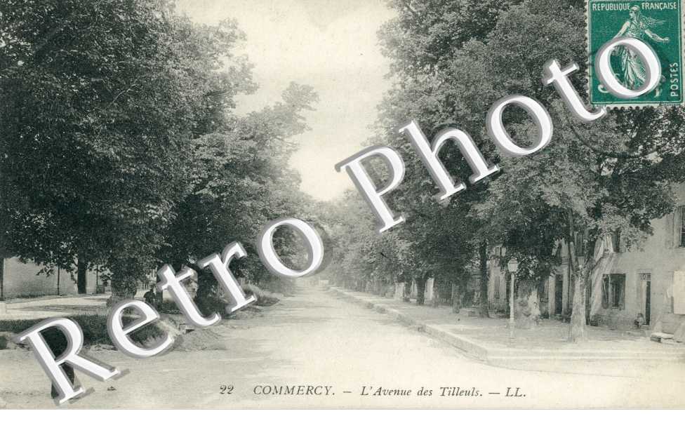 l'avenue des tilleuls