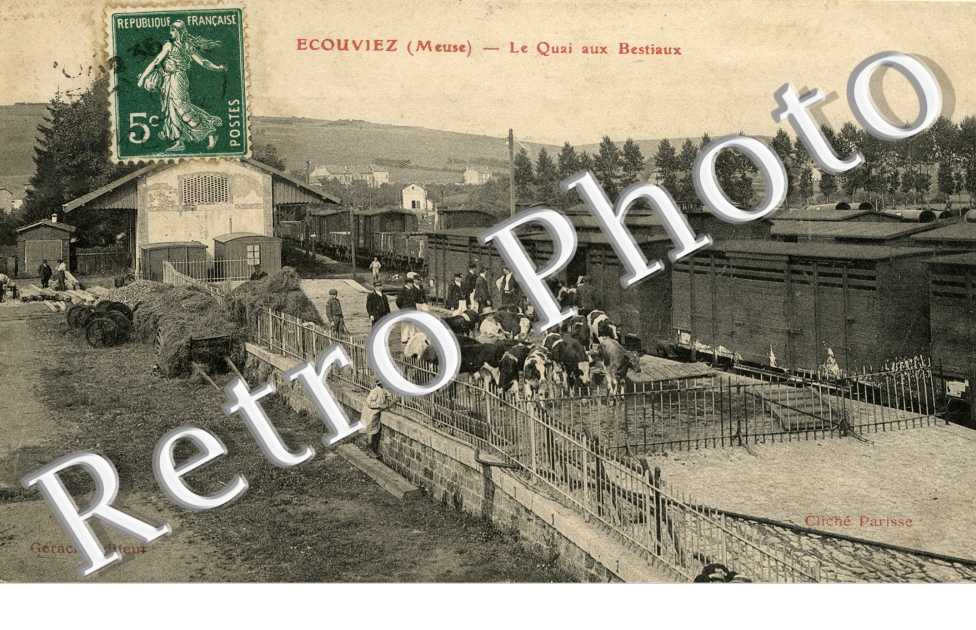 le Quai aux Bestiaux