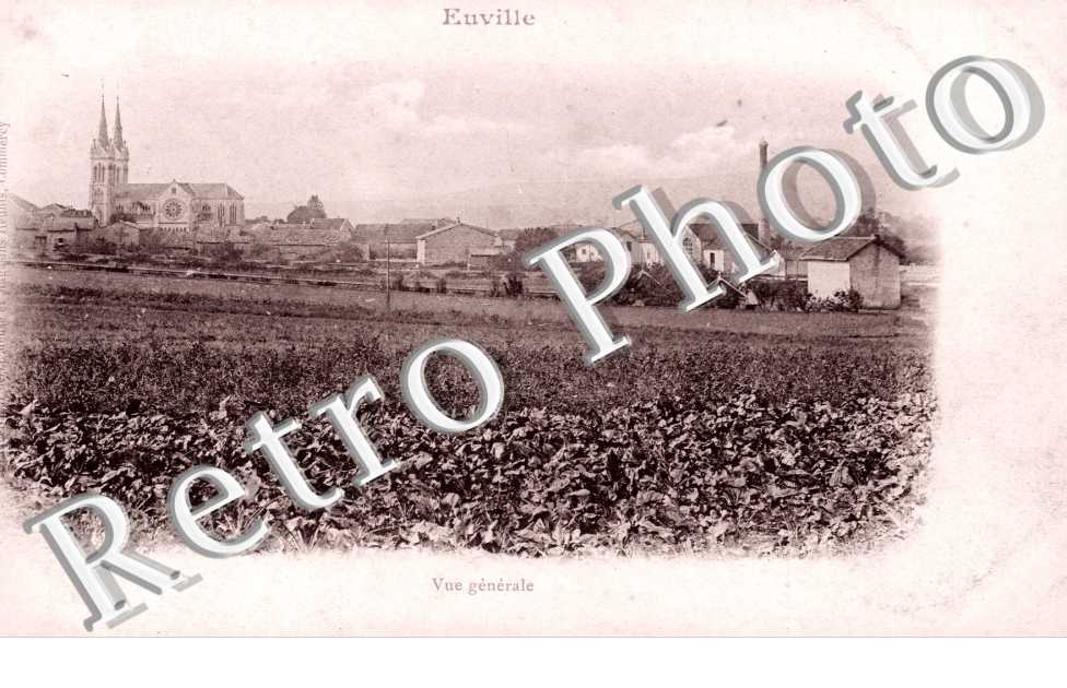 vue generale