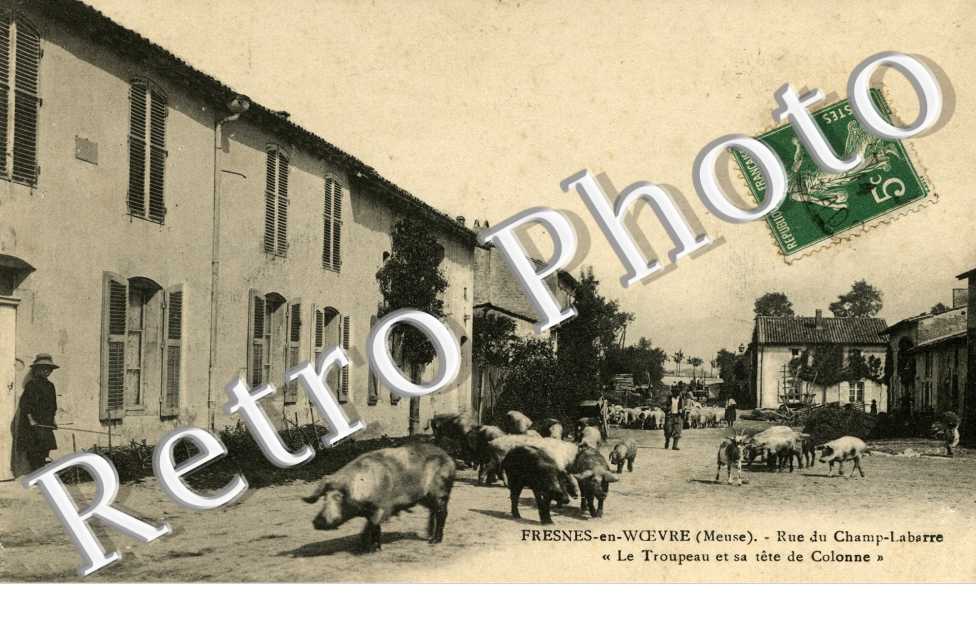 rue du champ-labarre "le troupeau et sa tete de colonne"