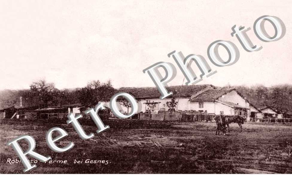 Robineto Ferme bei Gesnes