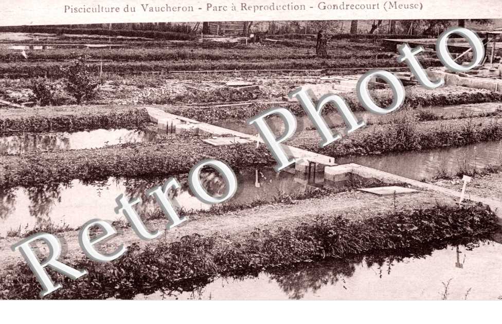 Pisciculture du Vaucheron, Parc a Reproduction