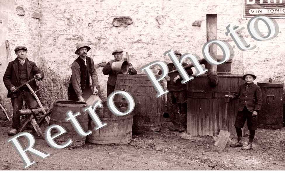 (fabrication du vin) le 1er juillet 1930