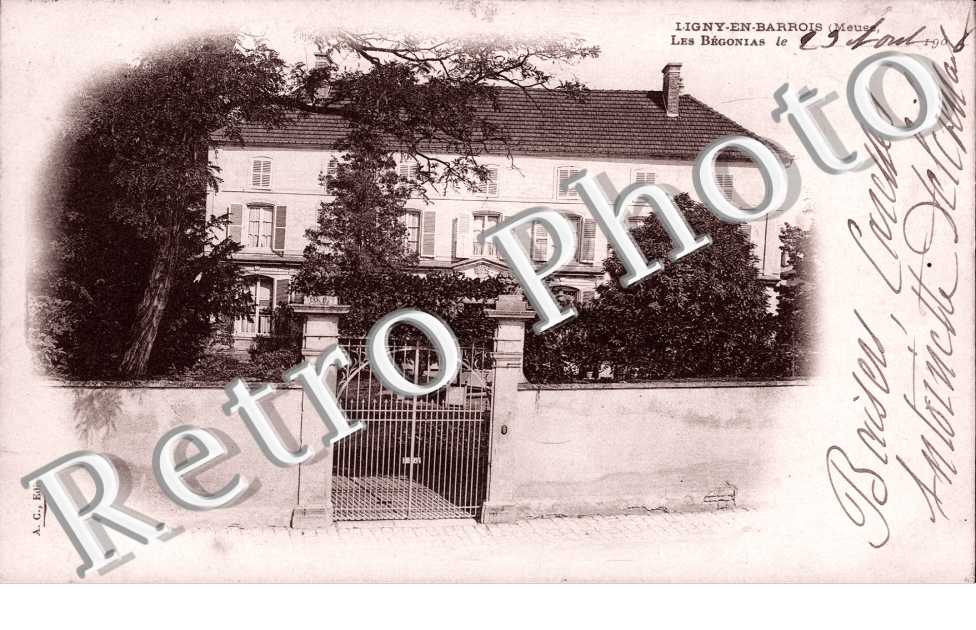 Ligny-en-Barrois, les Begonias
