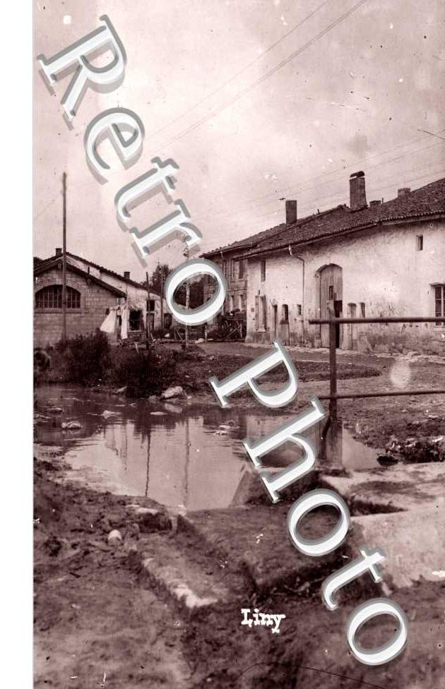 (vue generale)