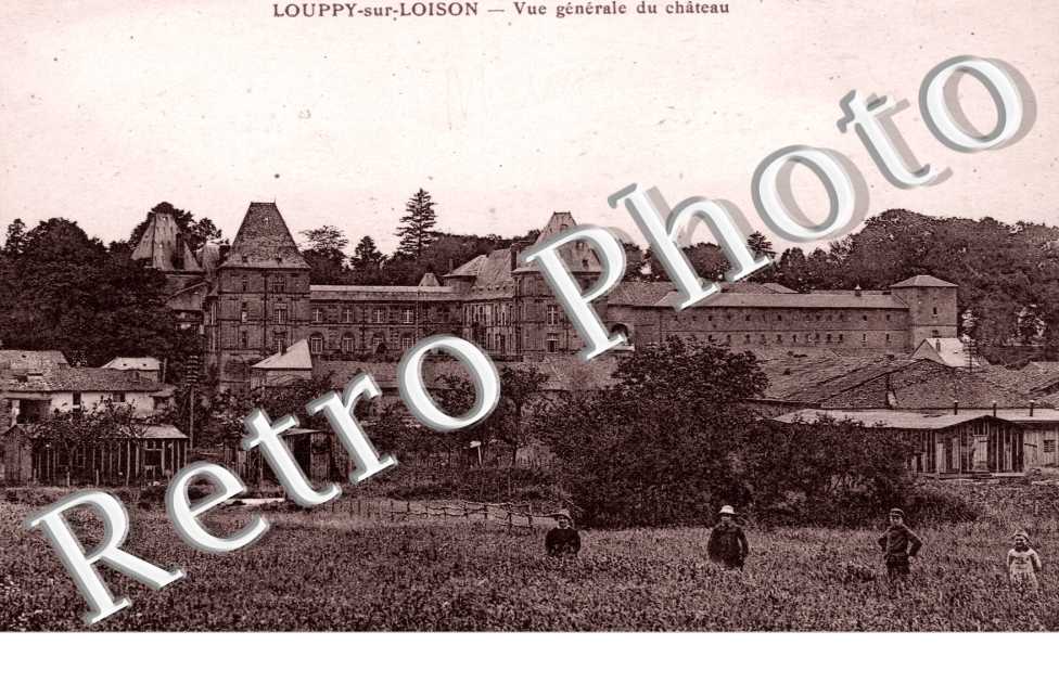 Vue generale du chateau