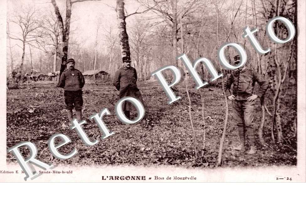 Bois - L'argonne