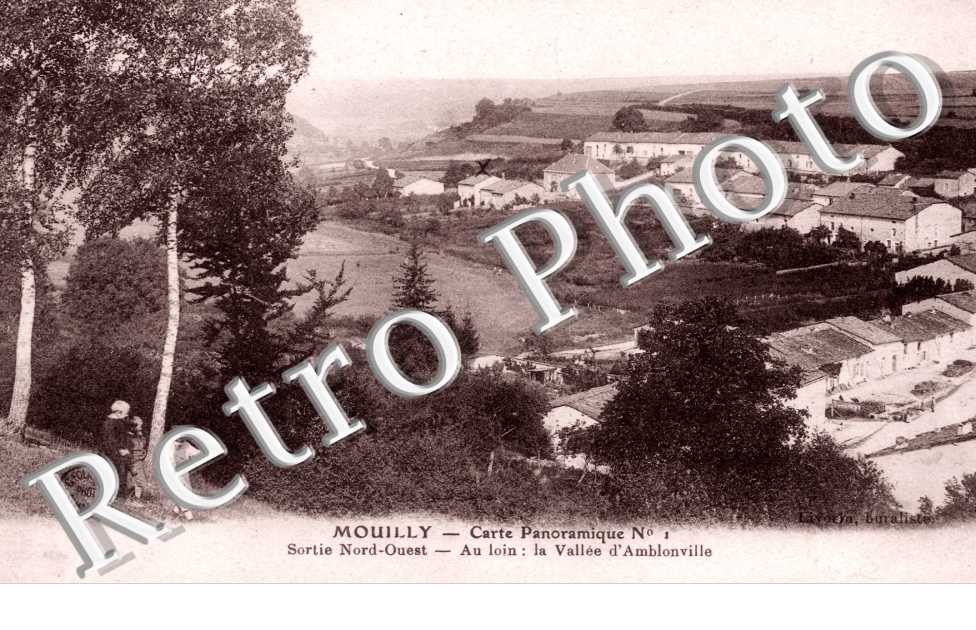 Panorama