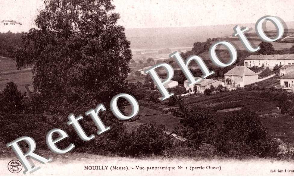 Vue panoramique