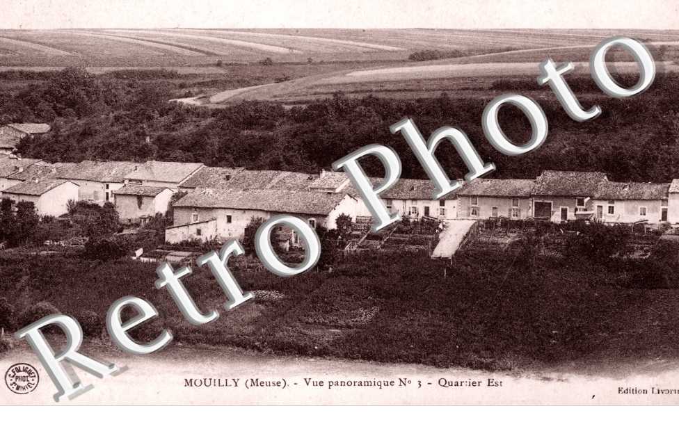 Vue panoramique
